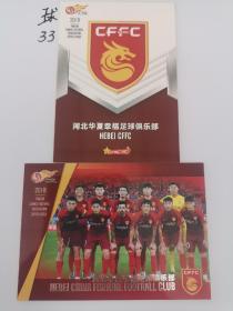 2018年河北华夏幸福足球俱乐部全家福、队徽（2卡合售）！