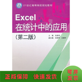 Excel 在统计中的应用(第2版)/21世纪高等院校规划教材