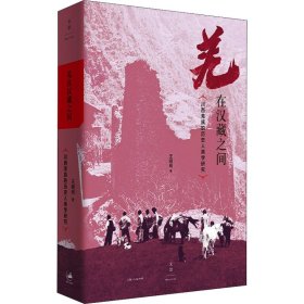 羌在汉藏之间 川西羌族的历史人类学研究 9787208172791 王明珂 上海人民出版社