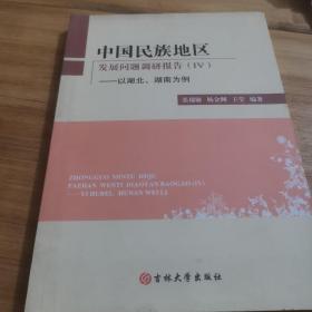 中国民族地区发展问题调研报告（IV）