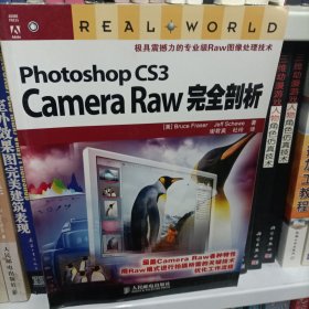 Photoshop CS3 Camera Raw完全剖析