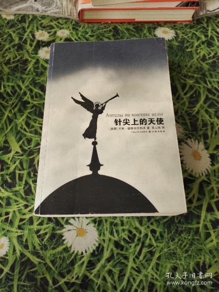 针尖上的天使正版，页内干净无写划，当天发货[美]德鲁日尼科夫 著；王立