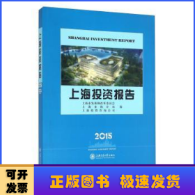 上海投资报告:2013