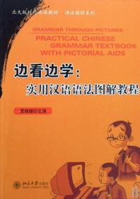 边看边学--实用汉语语法图解教程(北大版对外汉语教材)/语法教程系列