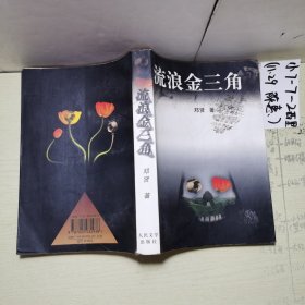 流浪金三角