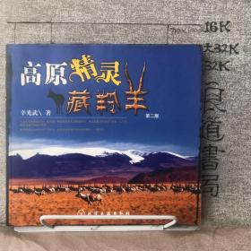 高原精灵藏羚羊（2005年二版二印）