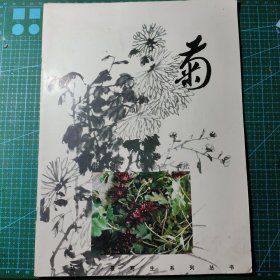 菊（中国画技法）