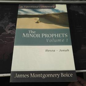 The Minor Prophets (Expositional Commentary)