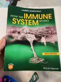 现货 How the Immune System Works  英文原版  免疫学概览  松佩拉克