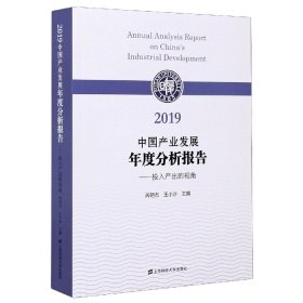 2019中国产业发展年度分析报告