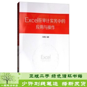 书籍品相好择优Excel在审计实务中的应用与操作中国时代经济出版社孔繁胜中国时代经济出版社9787511926333