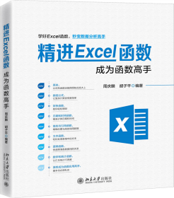 精进Excel函数：成为函数高手 9787301316634