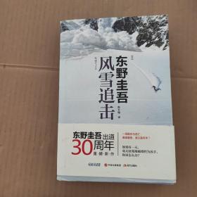 风雪追击