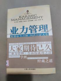业力管理：善用业力法则 创造富足人生