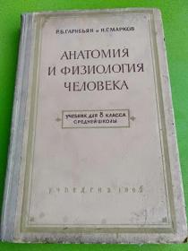Анатомия и физиология человка