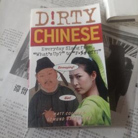 Dirty Chinese：Everyday Slang from 