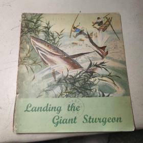 【馆藏英文版全彩连环画】智捕大鲟鱼Landing the Giant Sturgeon