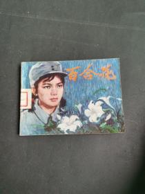 连环画：百合花