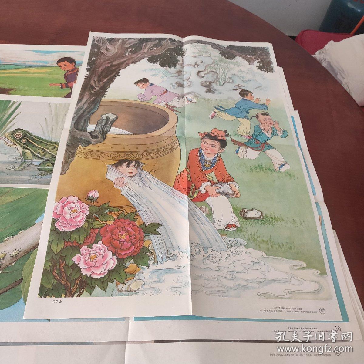 五六年制小学课本语文教学挂图第二册全套y2