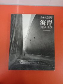 海岸：姜振庆纪实摄影作品集（1992-2012）
