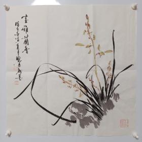 2022年新作   字画书画名家斗方国画作品作品保真  杨健，雅号野翁，江苏太仓人，常年探索学习齐派风格，笔下水墨虾多次参展并获奖。后养兰写兰，，悟得精髓，心随笔走写幽兰，把水墨鱼虾画法与写兰之法相结合，形成了自己独特风格。现为中国艺术家展览馆江苏太仓馆长，中国非物质文化遗产保护联盟书画艺术委员会会员，将军书画院会员。