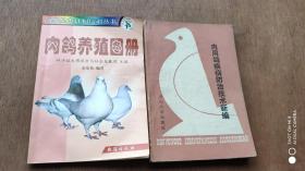 肉鸽养殖图册，等2册合售
