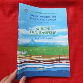 石油工业CCUS发展概论：中国石油二氧化碳捕集利用与封存（CCUS）技术丛书 【16开】