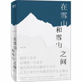 在雪山和雪山之间 中国现当代文学 乔阳 新华正版