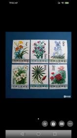 可入药植物邮票