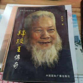 金陵王系列文学丛书——摔跤王传奇