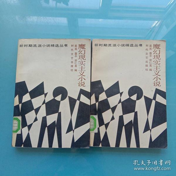 魔幻现实主义小说作者：吴亮出版社：时代文艺出版社。出版时间：1988 11