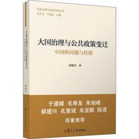 大国治理与公共政策变迁 中国的问题与经验