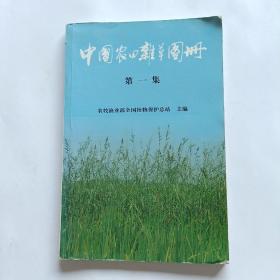 中国农田杂草图册（第一集）