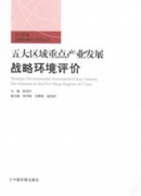 【正版书籍】五大区域战略环境评价系列丛书：五大区域重点产业发展战略环境评价