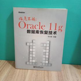 临危不惧：Oracle11g数据库恢复技术