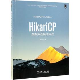全新正版 HikariCP数据库连接池实战 朱政科 9787111633211 机械工业