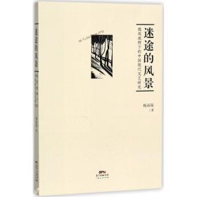 迷途的风景 中国现当代文学理论 杨汤琛 新华正版