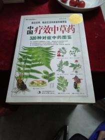 中国疗效中草药：320种对症中药图鉴
