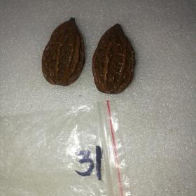 玩红的东北秋子核桃31