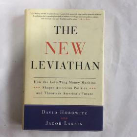 The New Leviathan How The Left-wing Money-machine Shapes American Politics And Threatens  英文原版  精装