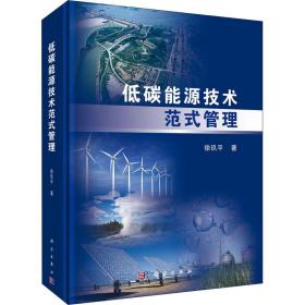 新华正版 低碳能源技术范式管理 徐玖平 9787030560445 科学出版社