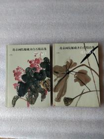 北京画院秘藏齐白石精品集花卉卷12