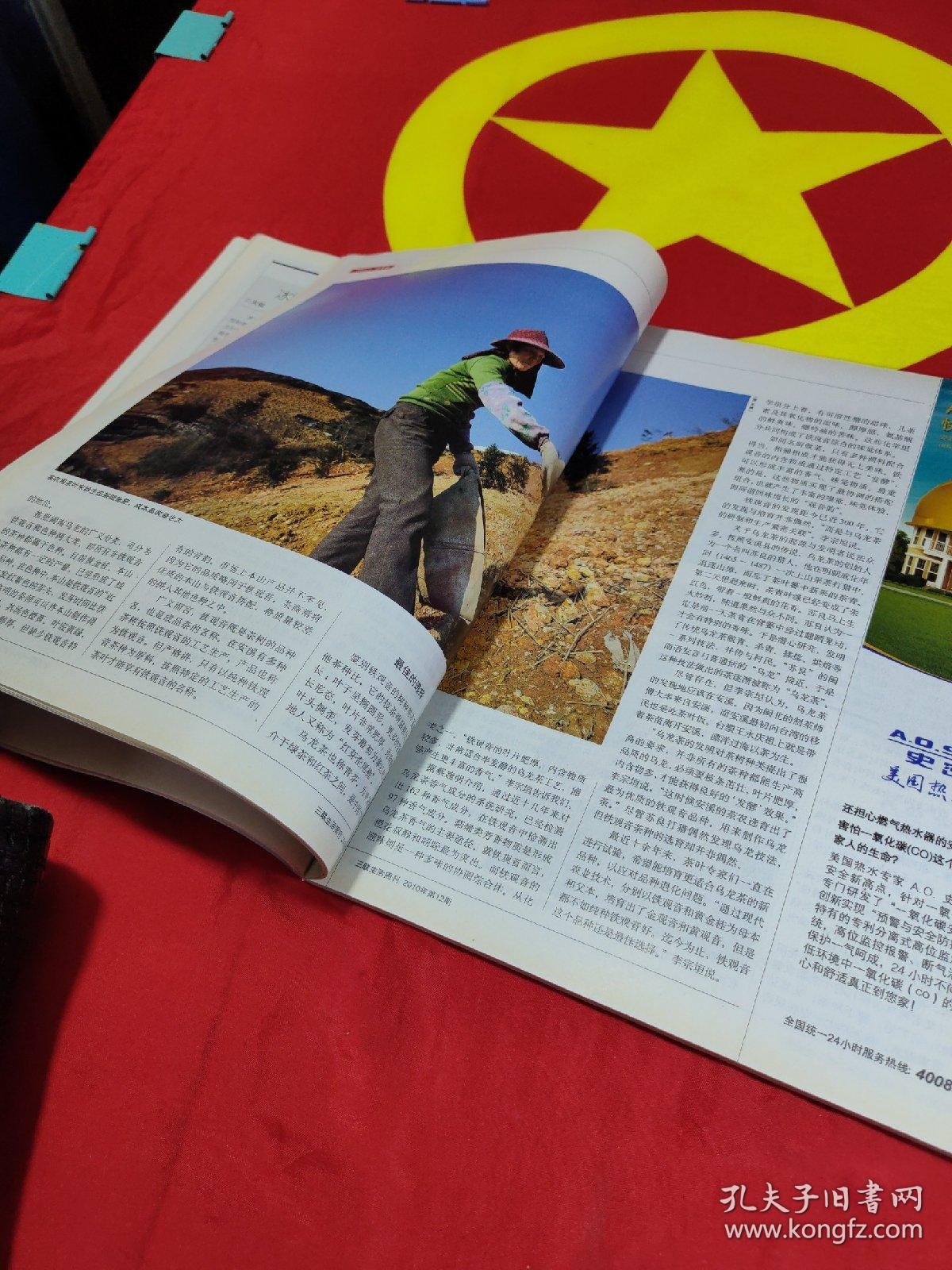 三联生活周刊2010年第12期功夫茶