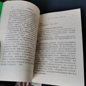 城市聚焦经济:一般理论及其对中国城市化问题的应用分析