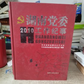 湖南党委工作纪事（2010）大16开精装本　