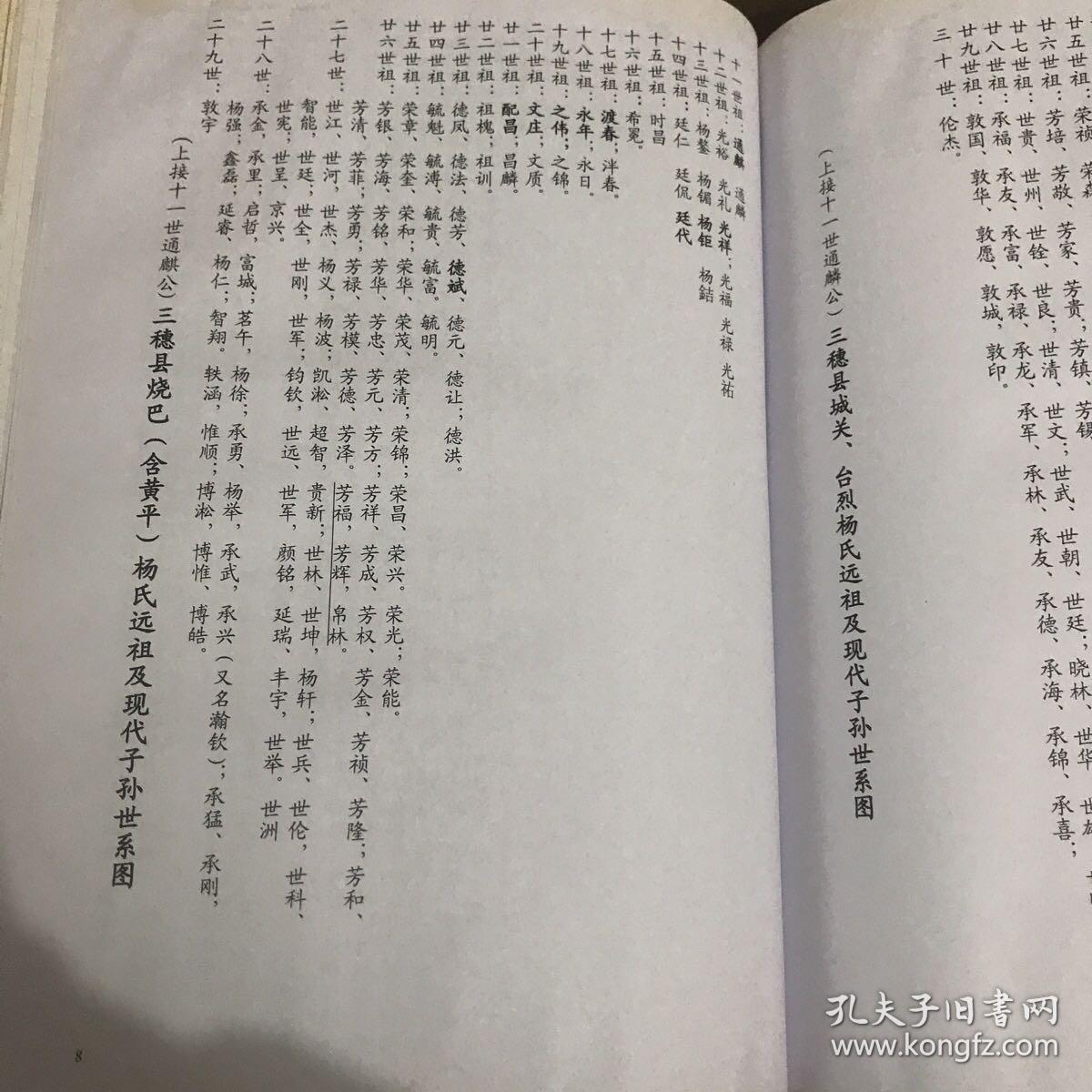 杨氏族谱四知堂