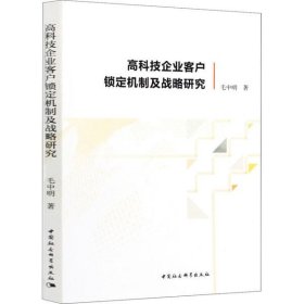 【正版书籍】高科技企业客户锁定机制及战略研究
