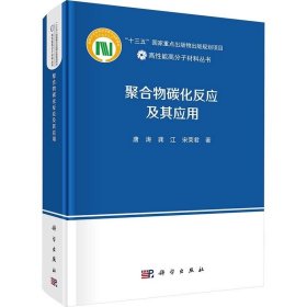 聚合物碳化反应及其应用 唐涛,龚江,宋荣君，科学出版社