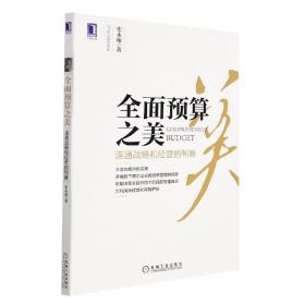 全新正版 全面预算之美：连通战略和经营的利器 史永翔 9787111581710 机械工业出版社