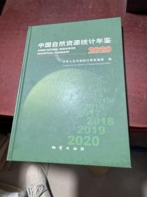 中国自然资源统计年鉴2020